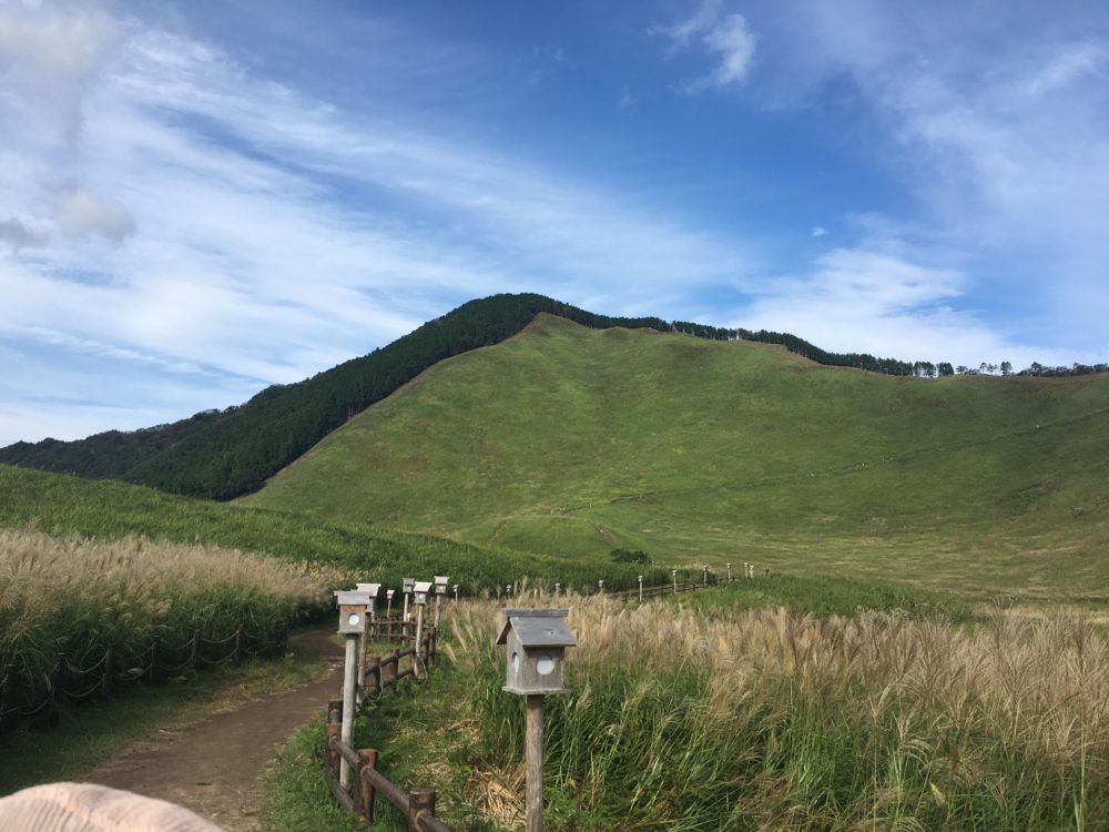 奈良県曽爾村にあるススキの聖地 曽爾高原 の行き方とおすすめの時期 時間帯を紹介するよ てつたま 哲学のたまご